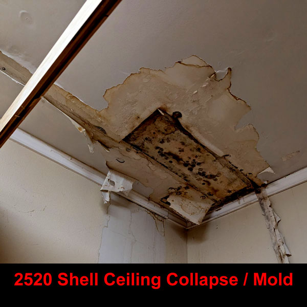 2520 shell rd georgetown mold