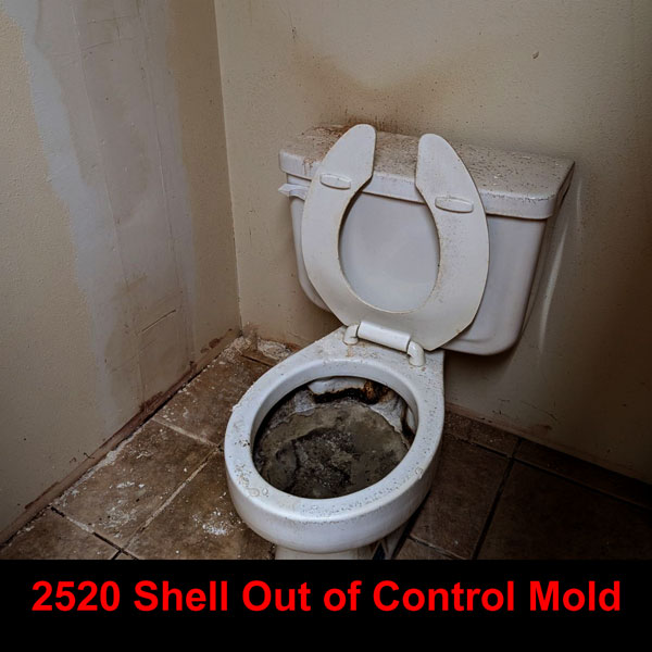 2520 shell rd toilet mold