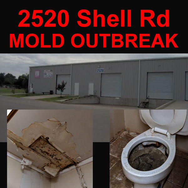 2520 shell rd mold outbreak